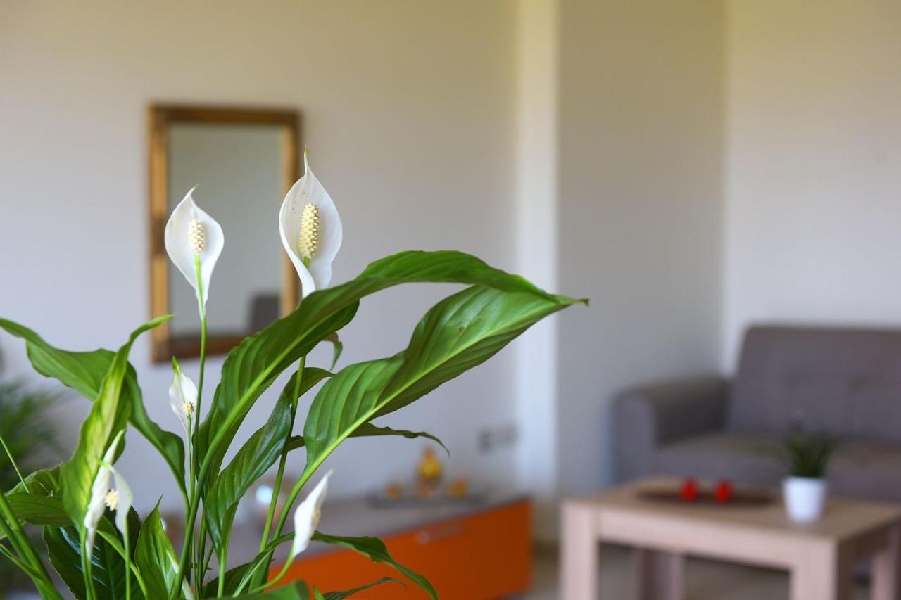 Stelia Luxury Apartments Kalavárda Exteriör bild